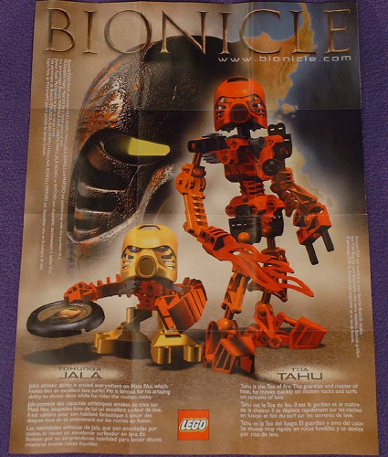 Back View