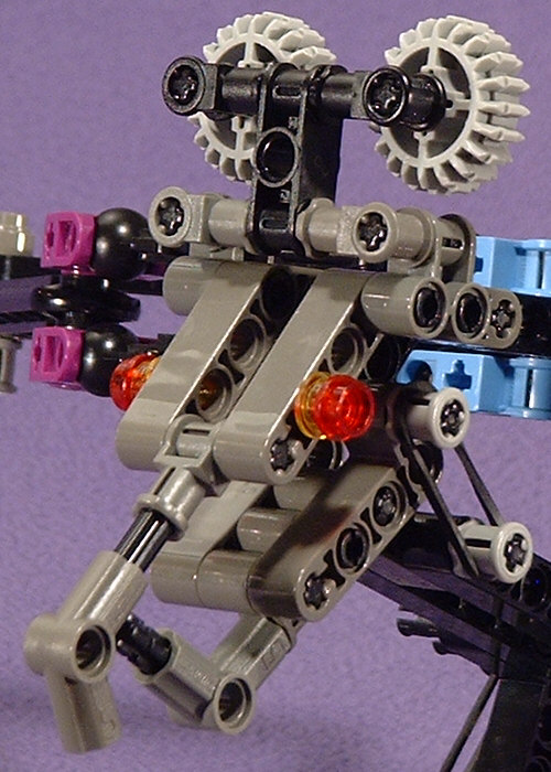 KAHU With Ammo Rack