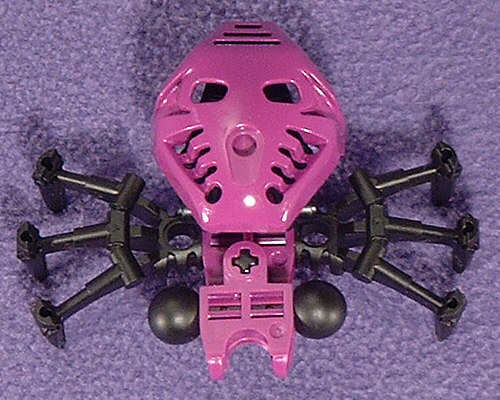 Top View