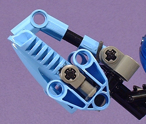 Claw Closeup