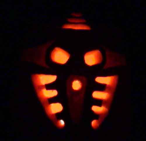 Pakari Pumpkin (Dark)