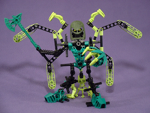 Wings Open Front View