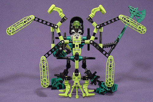 Wings Open Back View