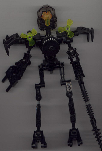 Back View