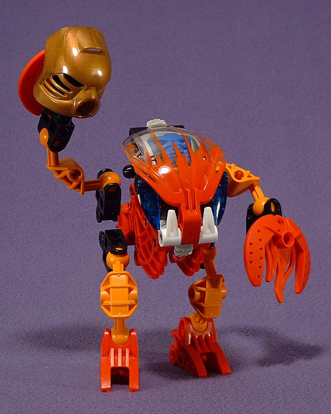 TAHNOK Victorious!