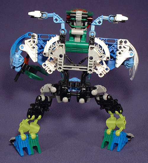 Back View
