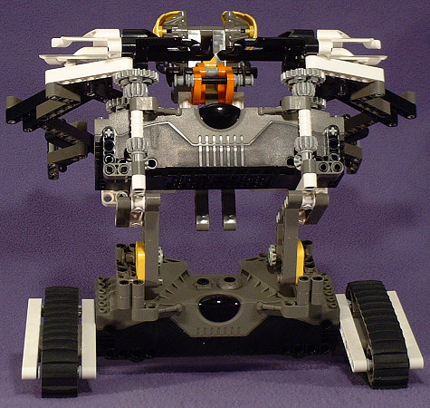Back View