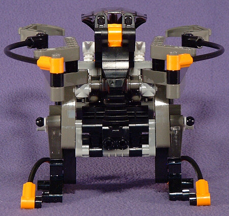Back View