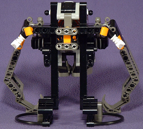 Back View