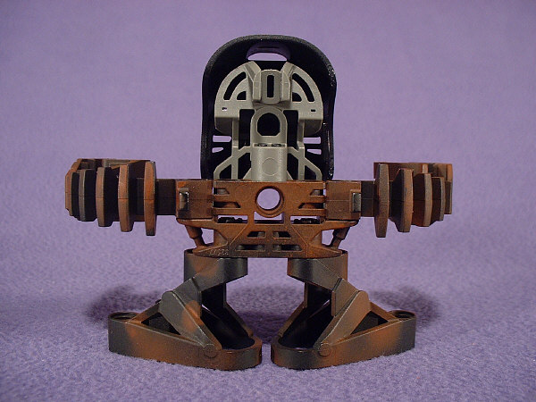 Back View