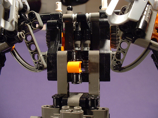Internal Closeup View