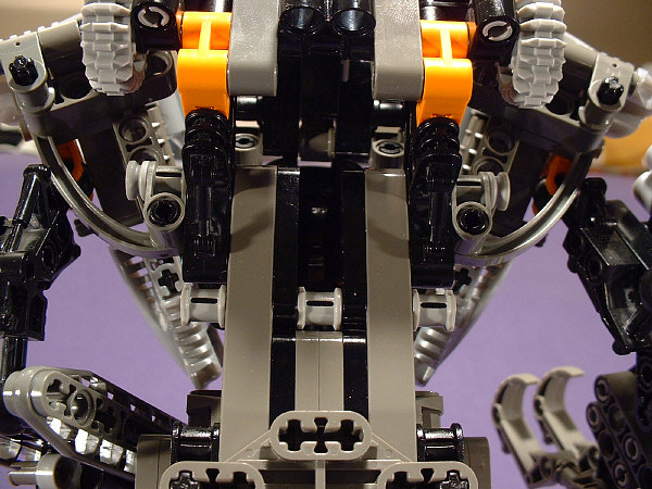 Back Closeup View