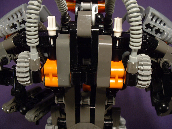 Neck Closeup View