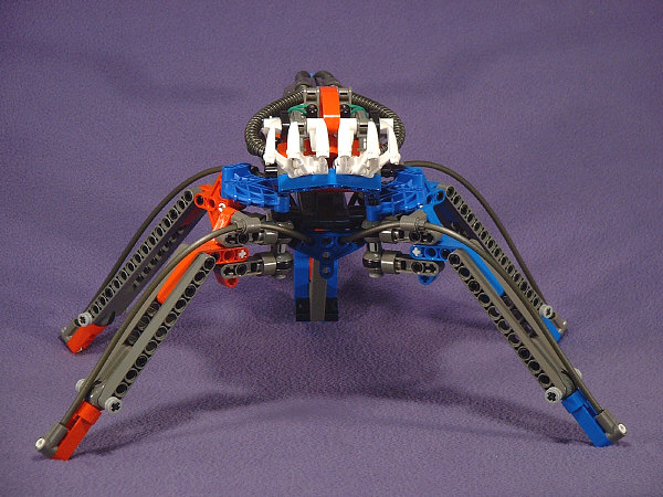 Front View