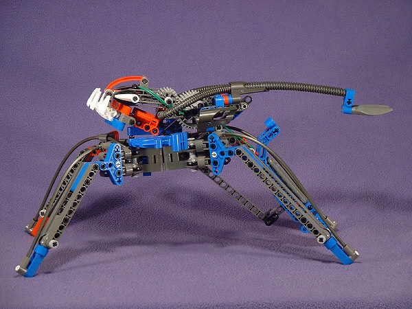 Left View
