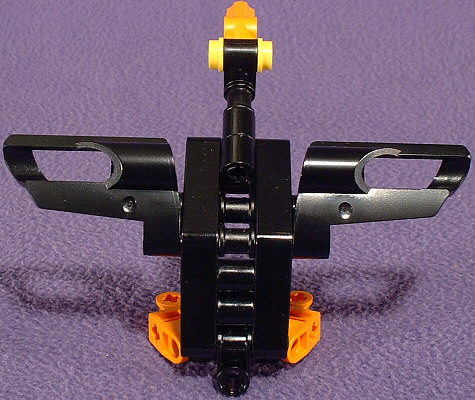 Back View