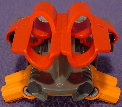 Back View