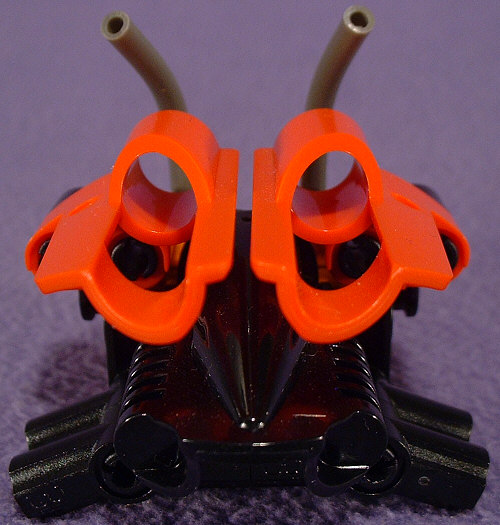 Back View