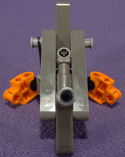 Back View