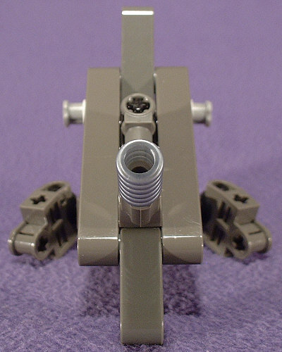 Back View