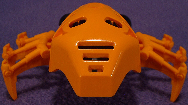 Back View