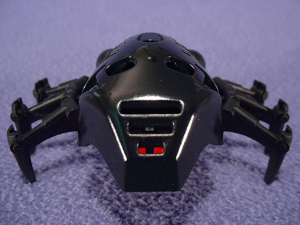 Back View
