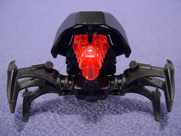 Bottom View