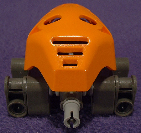 Back View