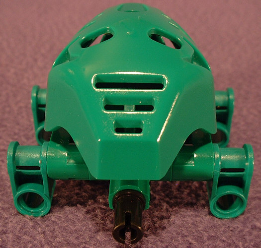 Back View