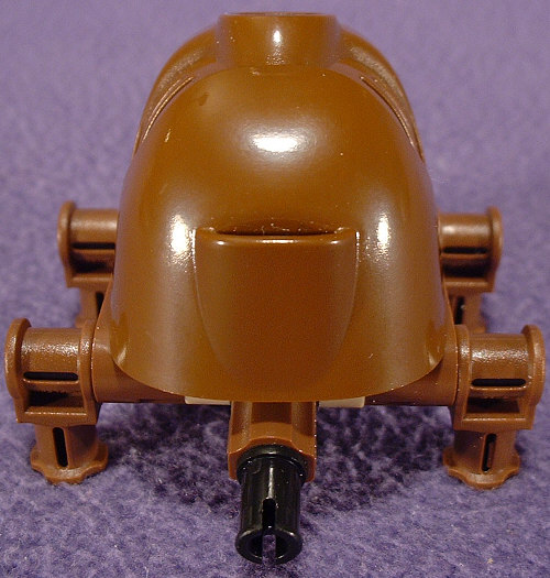 Back View