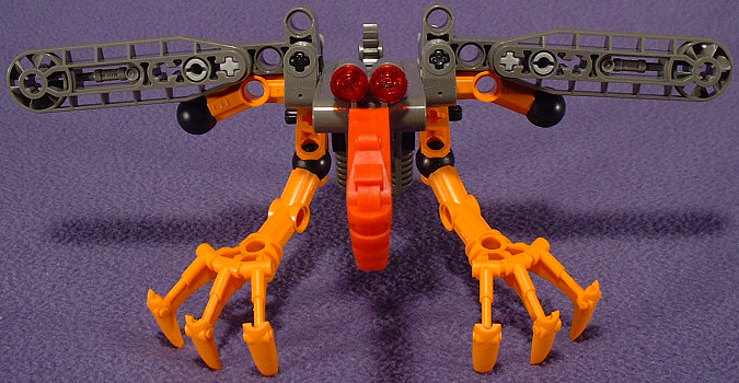 Front View