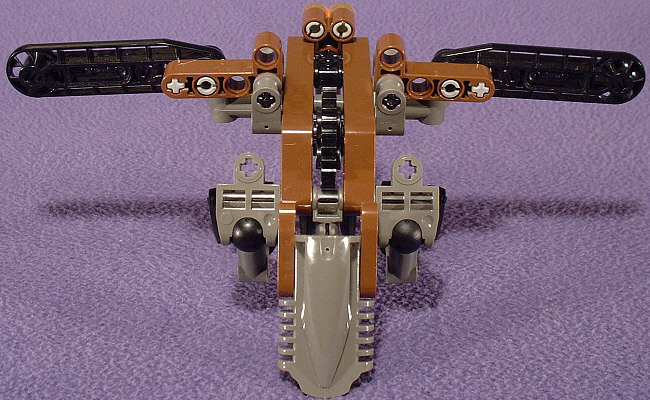 Back View