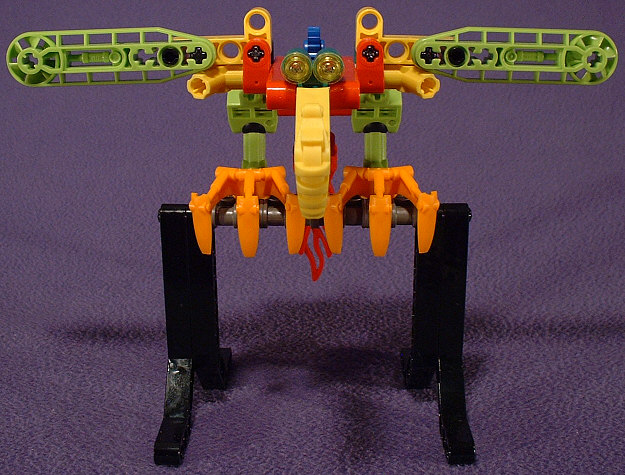 Front View