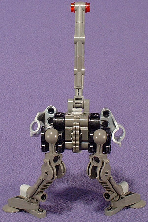 Back View
