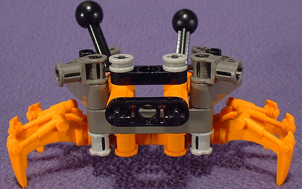 Back View