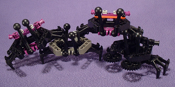 Group Shot