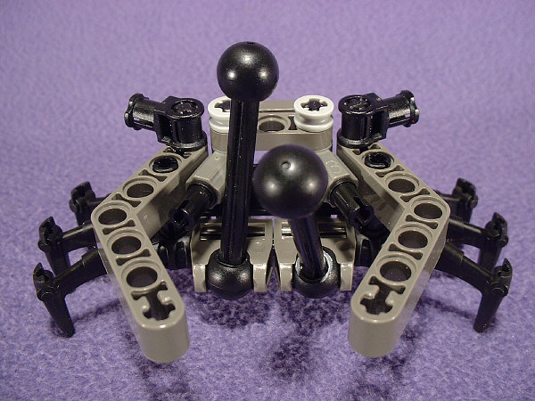 Front View