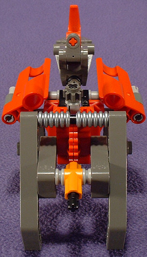 Back View