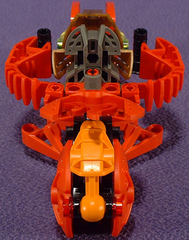 Back View