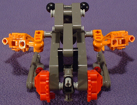 Back View