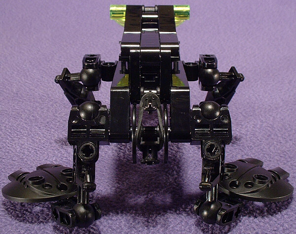 Back View