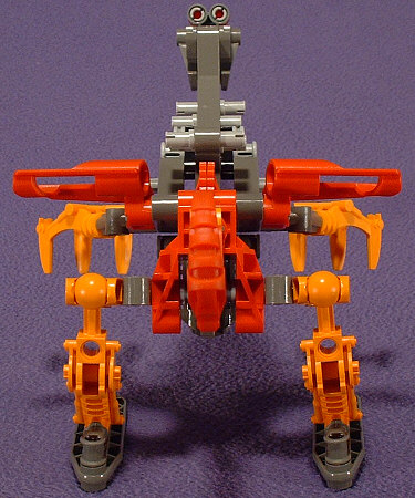 Back View