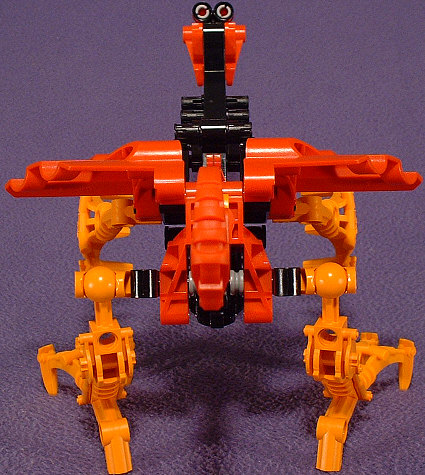 Back View