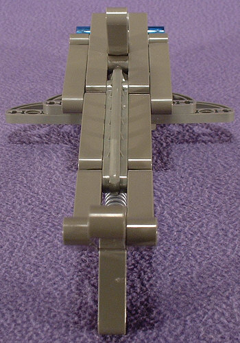 Back View