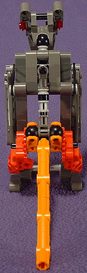 Back View