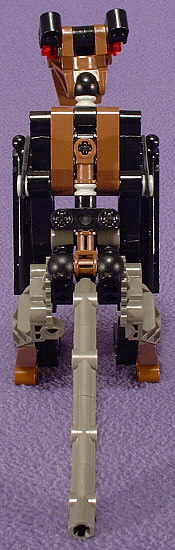 Back View