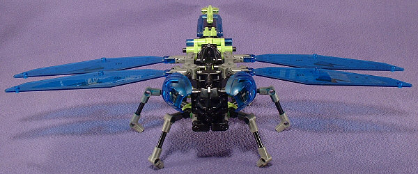 Front View