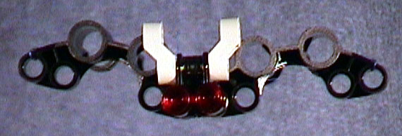 Bat Recreation Front