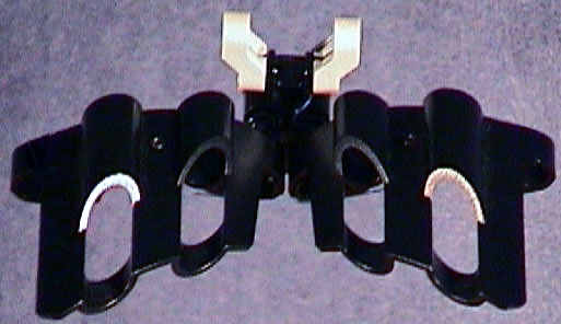 Bat Recreation Back