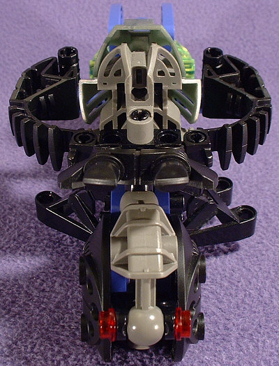 Back View